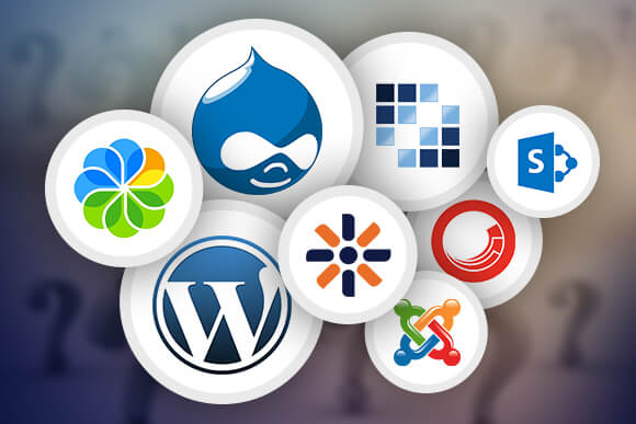 Which CMS is better suited for your business
