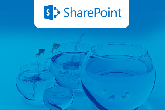 Sharepoint Migration