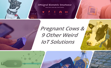 Pregnant cows and 9 other weird IoT solutions