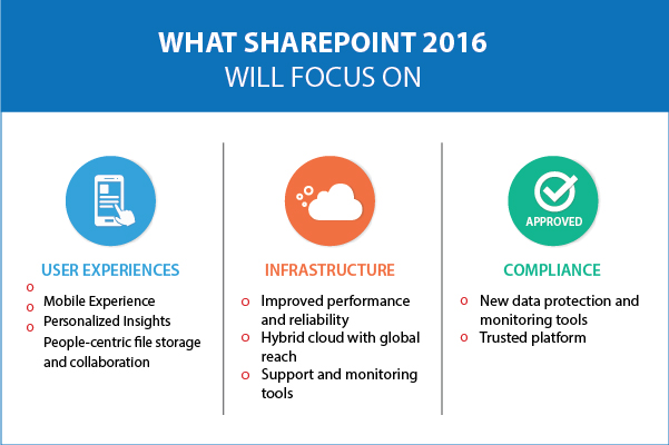 SharePoint Focus
