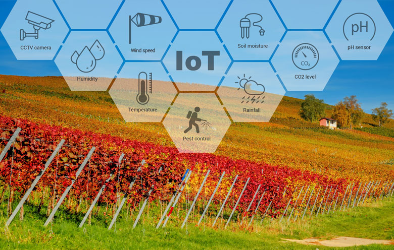 Smart vineyard – managing and monitoring made easy for wine producers