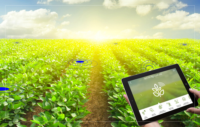 Shape tomorrow’s agriculture with IoT and AI