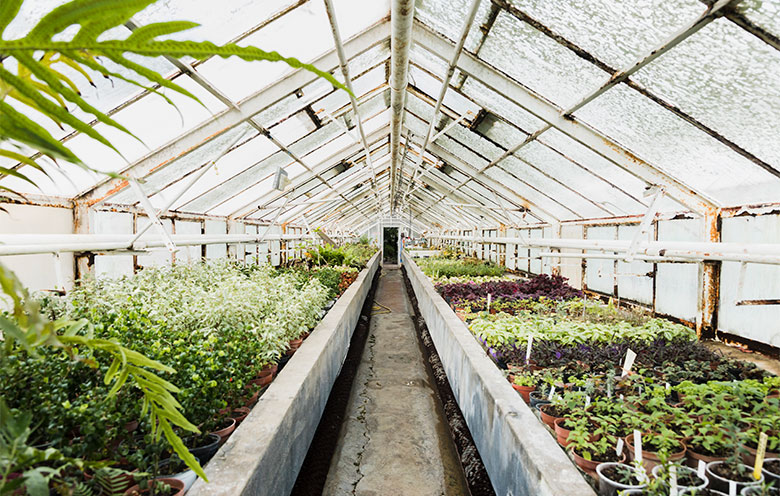 Seven questions to ask before implementing a monitoring system in your greenhouse
