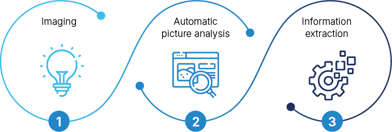 Machine Vision Processes