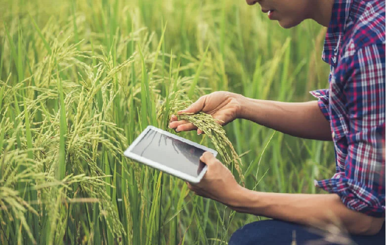 Planthack – A smart agriculture solution empowering farmers to grow better crops