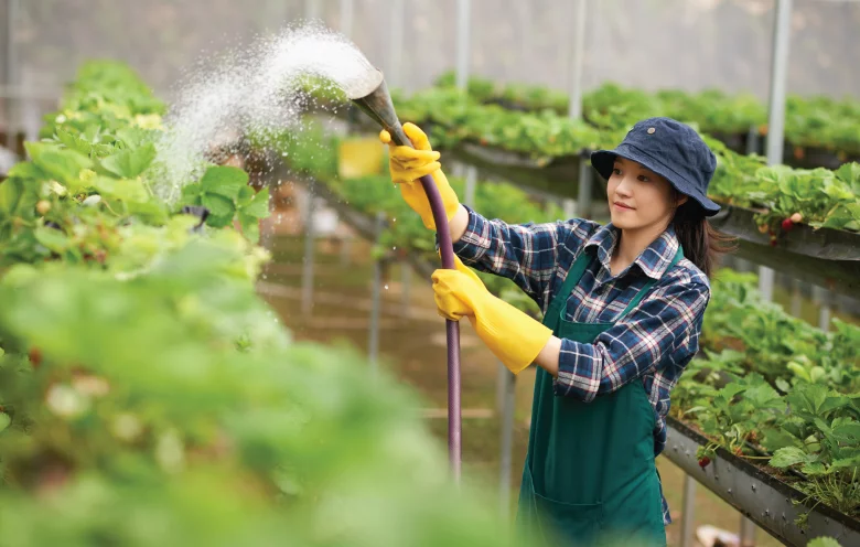 Smart monitoring of soil irrigation and other vital factors for healthy crop yield